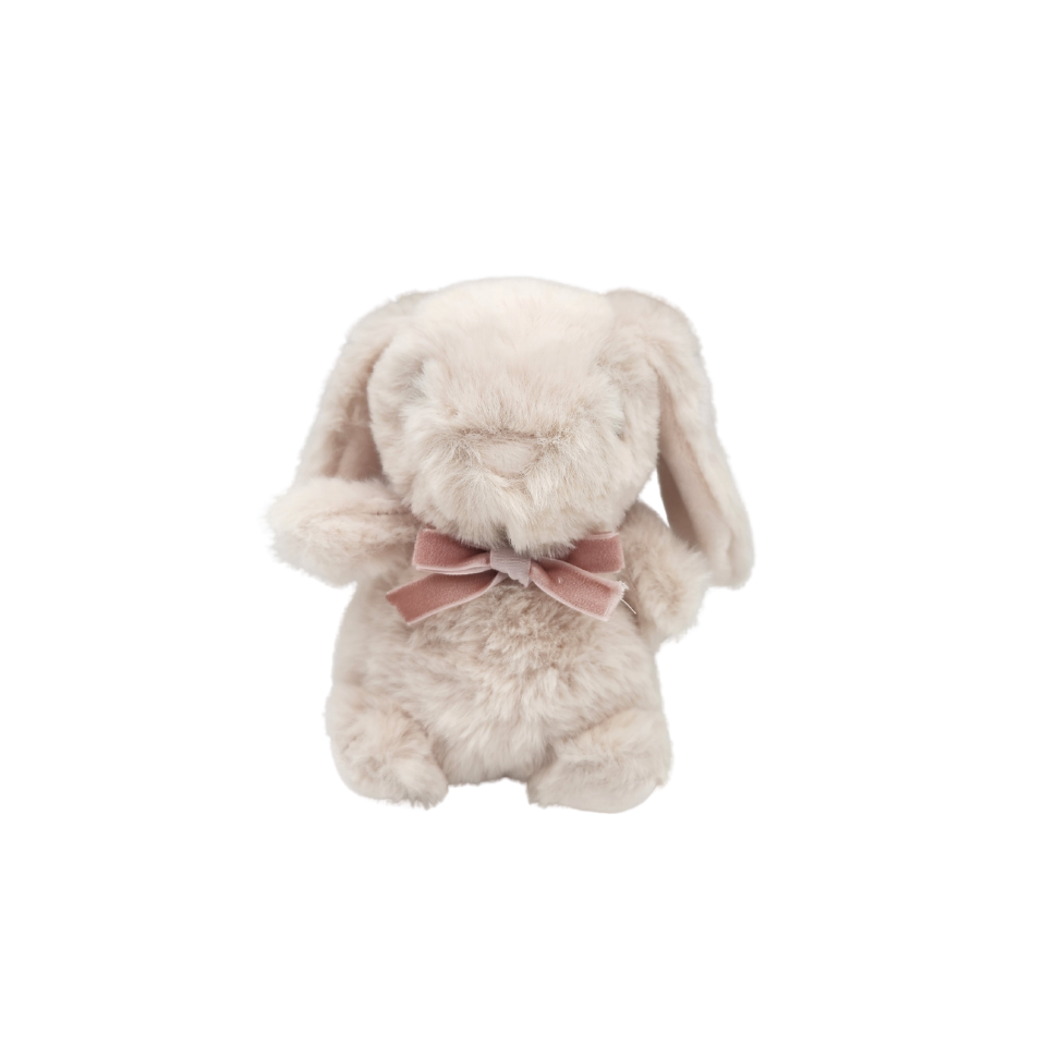 Plush Bunny