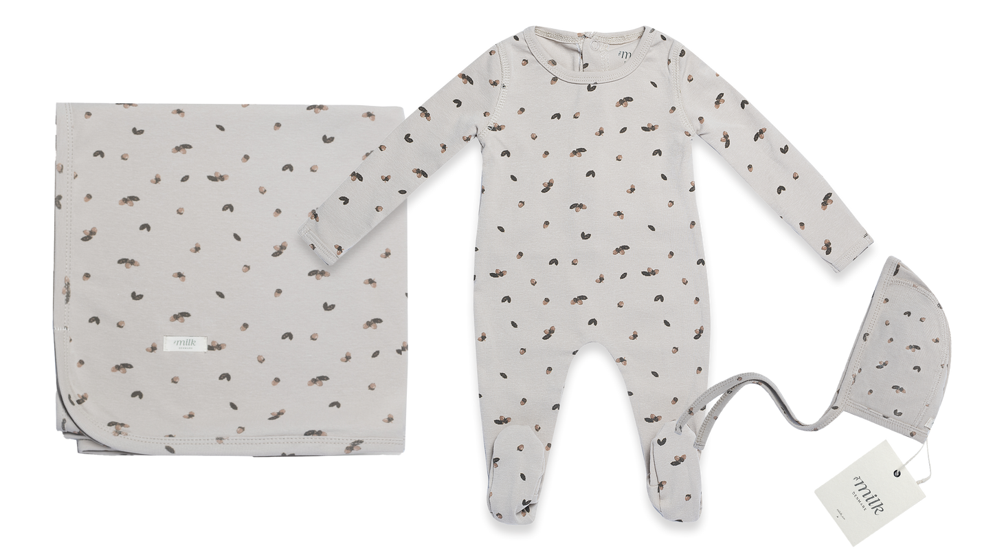 Acorn 3 PC Set
