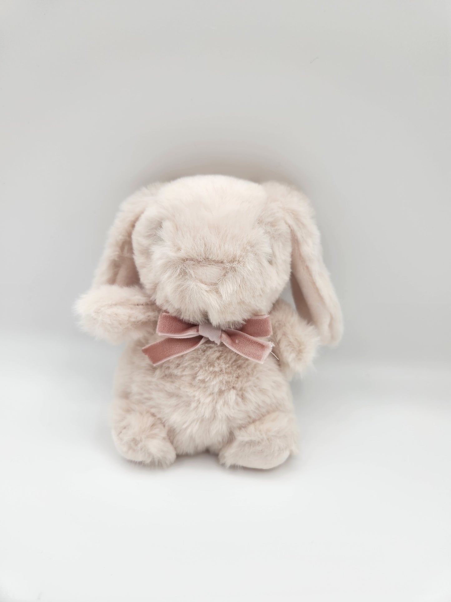Plush Bunny