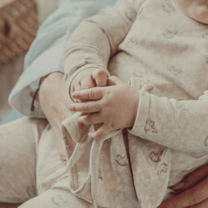 The Printed Blanket - Heirloom Pony