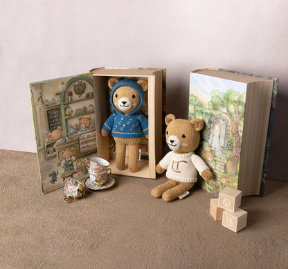 Lil Teddy - Storybook Edition