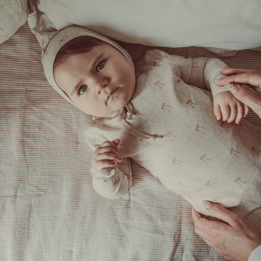 The Printed Blanket - Heirloom Bow